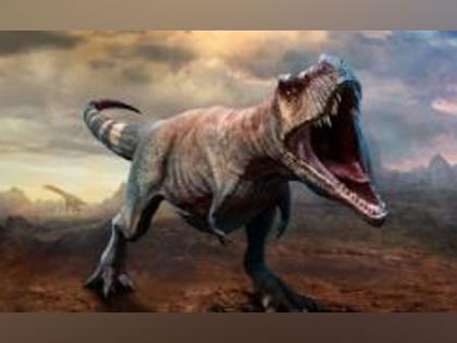 Research unveils quirky insights about dinosaur's brain, eating habits | Research unveils quirky insights about dinosaur's brain, eating habits Research unveils quirky insights about dinosaur's brain, eating habits | Research unveils quirky insights about dinosaur's brain, eating habits