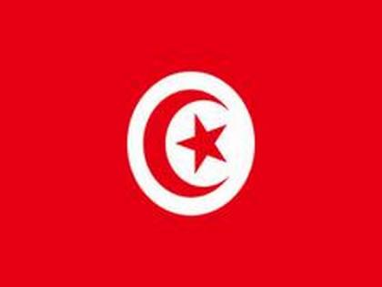Tunisia arrests 8 women allegedly linked to terror group: Ministry | Tunisia arrests 8 women allegedly linked to terror group: Ministry