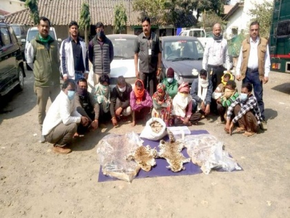 Madhya Pradesh: 16 held for leopard hunting, trading of pangolin scales | Madhya Pradesh: 16 held for leopard hunting, trading of pangolin scales