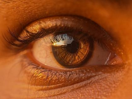 Scientists develop unique thermogel to help prevent scarring of retina | Scientists develop unique thermogel to help prevent scarring of retina Scientists develop unique thermogel to help prevent scarring of retina | Scientists develop unique thermogel to help prevent scarring of retina