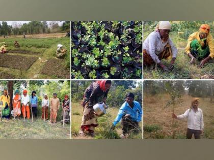 Social organization achieves massive milestone of planting 10 million trees across India | Social organization achieves massive milestone of planting 10 million trees across India