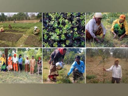 Social organization achieves massive milestone of planting 10 million trees across India | Social organization achieves massive milestone of planting 10 million trees across India Social organization achieves massive milestone of planting 10 million trees across India | Social organization achieves massive milestone of planting 10 million trees across India