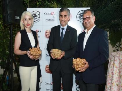 Walnuts from Chile launched in India | Walnuts from Chile launched in India