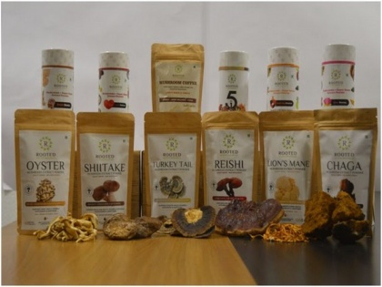 Reimagine healthy living with Medicinal Mushrooms by Rooted Actives | Reimagine healthy living with Medicinal Mushrooms by Rooted Actives