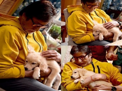 Amitabh Bachchan shares adorable pictures cuddling his new on-set companion | Amitabh Bachchan shares adorable pictures cuddling his new on-set companion