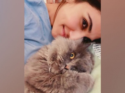 Vaani Kapoor posts adorable picture with her cat | Vaani Kapoor posts adorable picture with her cat