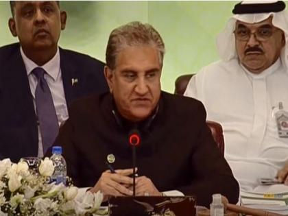 Pakistan FM Qureshi rakes up Kashmir issue at OIC foreign ministers conference | Pakistan FM Qureshi rakes up Kashmir issue at OIC foreign ministers conference