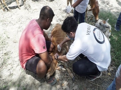 World Animal Protection and partners organise a veterinary drive for animals affected by Assam floods | World Animal Protection and partners organise a veterinary drive for animals affected by Assam floods