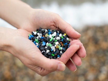 Study reveals complexity of microplastic pollution | Study reveals complexity of microplastic pollution