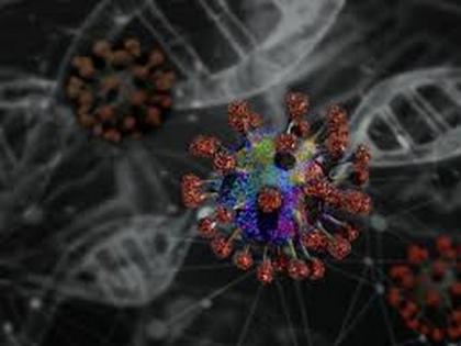 US reports first 'isolated' coronavirus case | US reports first 'isolated' coronavirus case US reports first 'isolated' coronavirus case | US reports first 'isolated' coronavirus case