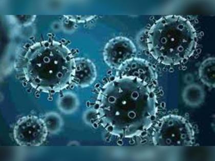 Drug for rare disorder shows promise for treating herpes viruses | Drug for rare disorder shows promise for treating herpes viruses
