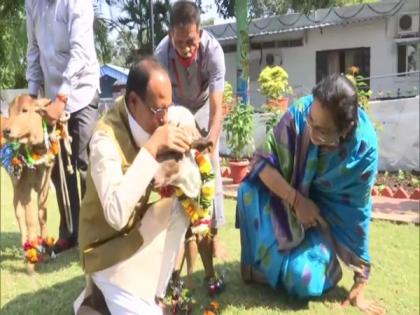 Shivraj Singh Chauhan performs Govardhan Puja, urges people to protect environment | Shivraj Singh Chauhan performs Govardhan Puja, urges people to protect environment Shivraj Singh Chauhan performs Govardhan Puja, urges people to protect environment | Shivraj Singh Chauhan performs Govardhan Puja, urges people to protect environment