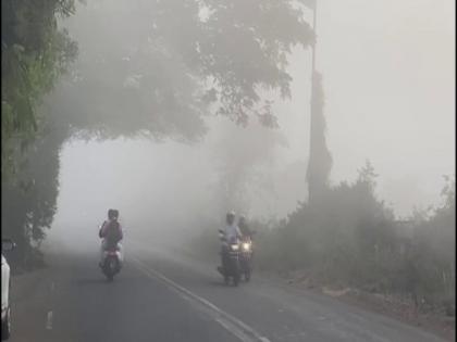 Maharashtra: Thick blanket of fog engulfs isolated areas of Nashik | Maharashtra: Thick blanket of fog engulfs isolated areas of Nashik