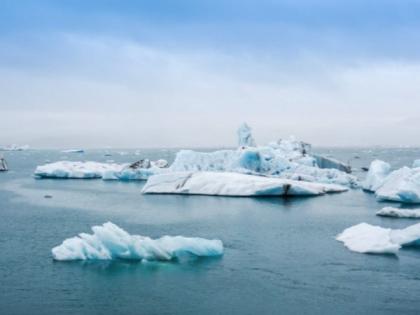 Study finds climate change lowers nutrition, increases toxicity at base of food web | Study finds climate change lowers nutrition, increases toxicity at base of food web Study finds climate change lowers nutrition, increases toxicity at base of food web | Study finds climate change lowers nutrition, increases toxicity at base of food web