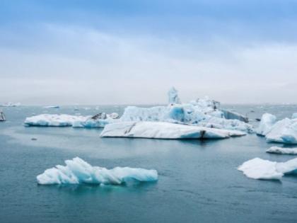 Study finds climate change lowers nutrition, increases toxicity at base of food web | Study finds climate change lowers nutrition, increases toxicity at base of food web