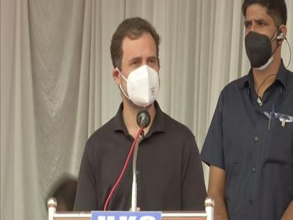 Rahul Gandhi unveils Mahatma Gandhi's statue in Kerala's Wayanad | Rahul Gandhi unveils Mahatma Gandhi's statue in Kerala's Wayanad Rahul Gandhi unveils Mahatma Gandhi's statue in Kerala's Wayanad | Rahul Gandhi unveils Mahatma Gandhi's statue in Kerala's Wayanad