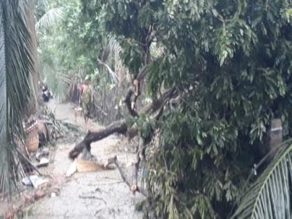 Cyclone Yaas: Houses damaged, Aadhaar, voter cards missing after waterlogging in West Bengal's Gangarampur | Cyclone Yaas: Houses damaged, Aadhaar, voter cards missing after waterlogging in West Bengal's Gangarampur