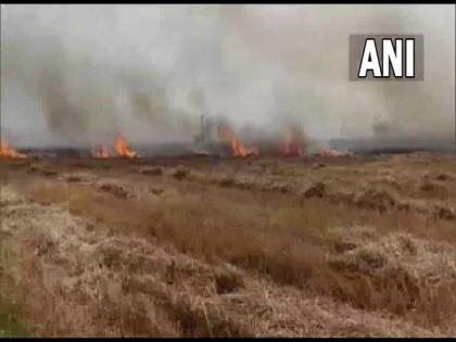 Wheat crop on 200 acres destroyed in fire in Haryana's Karnal | Wheat crop on 200 acres destroyed in fire in Haryana's Karnal