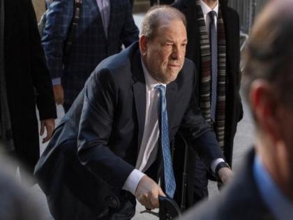 Harvey Weinstein pleaded Tim Cook, Jeff Bezos, Mike Bloomberg to come to his rescue | Harvey Weinstein pleaded Tim Cook, Jeff Bezos, Mike Bloomberg to come to his rescue Harvey Weinstein pleaded Tim Cook, Jeff Bezos, Mike Bloomberg to come to his rescue | Harvey Weinstein pleaded Tim Cook, Jeff Bezos, Mike Bloomberg to come to his rescue