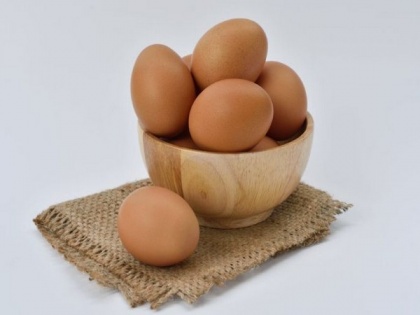 Scientists develop safe, cheap technology for disinfection of packed eggs | Scientists develop safe, cheap technology for disinfection of packed eggs
