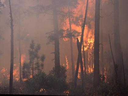 California wildfire destroys several homes, thousands evacuated as Arizona blaze expands to over 100,000 acres | California wildfire destroys several homes, thousands evacuated as Arizona blaze expands to over 100,000 acres