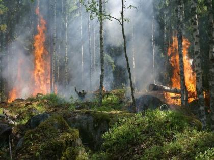 Wildfire in northern Athens forces evacuations | Wildfire in northern Athens forces evacuations