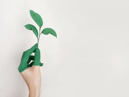 World Environment Day 2021: Theme, history and significance | World Environment Day 2021: Theme, history and significance World Environment Day 2021: Theme, history and significance | World Environment Day 2021: Theme, history and significance