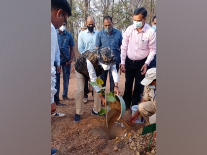Shivraj Singh Chouhan celebrates Holi by planting banyan sapling | Shivraj Singh Chouhan celebrates Holi by planting banyan sapling