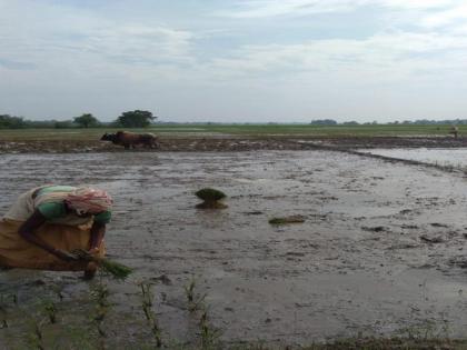 Assam prepares to tackle floods as early rain hits state | Assam prepares to tackle floods as early rain hits state