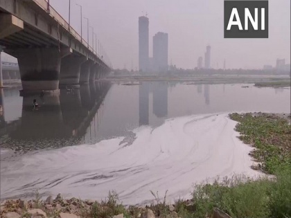 Thin layer of toxic foam floats near Yamuna River bank in Delhi | Thin layer of toxic foam floats near Yamuna River bank in Delhi