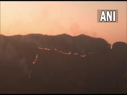 Fire continues to rage in forest area of Perumal hills near Kodaikanal in Tamil Nadu | Fire continues to rage in forest area of Perumal hills near Kodaikanal in Tamil Nadu