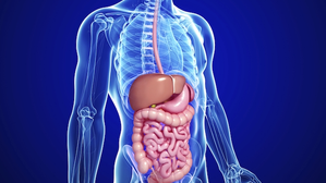 Study suggests relation between gut microbiome and neurodegenerative diseases