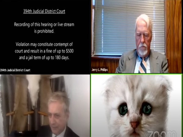 Viral Video I M Not A Cat Texas Lawyer Trapped By Cat Filter Informs Judge On Zoom Call Www Lokmattimes Com