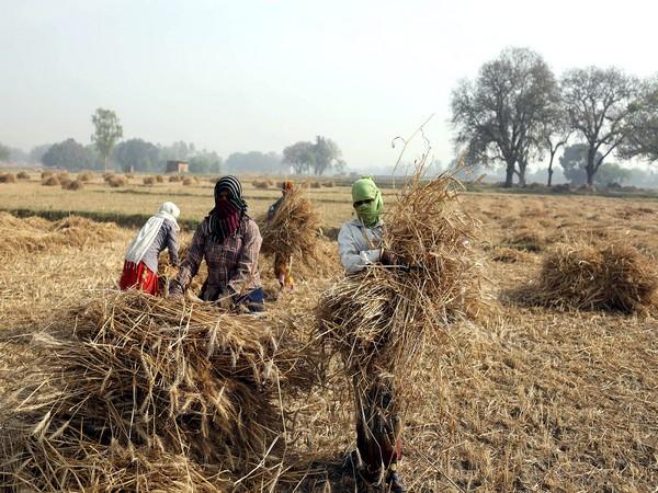 Andhra Pradesh Farmers Hails New Guidelines For Lockdown | Www ...