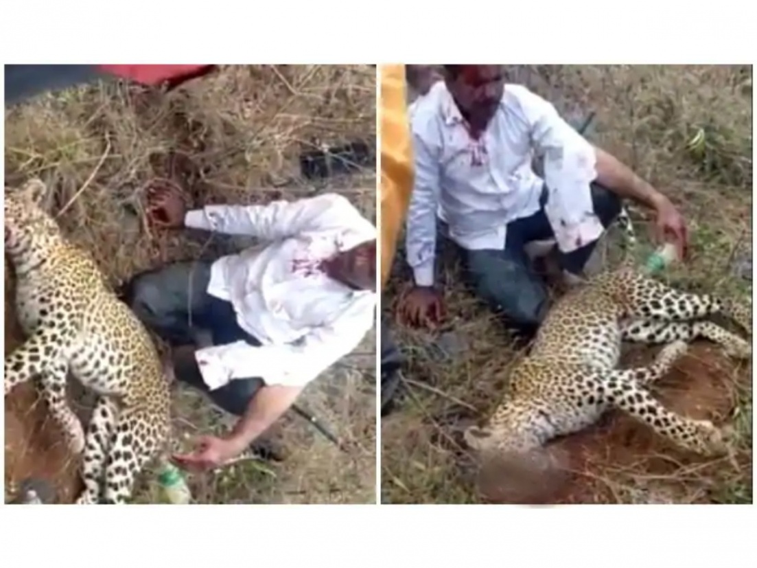 Viral Video! Man strangles leopard to death after animal attacks his family  