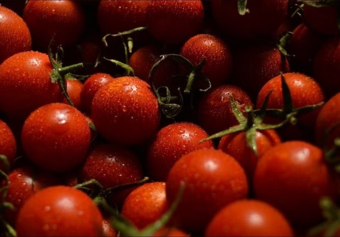 Thane: Amid soaring rates, Women receives 4 kg of tomatoes as birthday gift  | www.lokmattimes.com