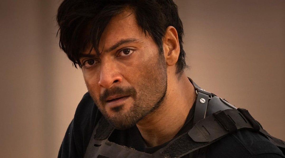 Mirzapur: The Movie Is Not a Sequel, Says Ali Fazal: ‘The Logic Will Fit for Everyone’