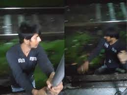 Mumbai: Man performs stunt on local train in viral video - www ...