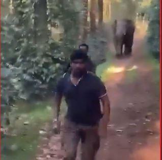 Elephant Attack in Karnataka: Forest Department Workers Narrowly Escape