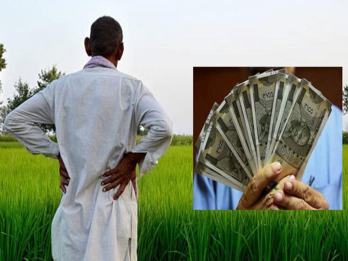 बीडच्या शेतकर्‍यांना मोठा दिलासा! कर्जमाफीचे 90.75 कोटी थेट खात्यात 13 हजार 110 शेतकर्‍यांना मोठा लाभ