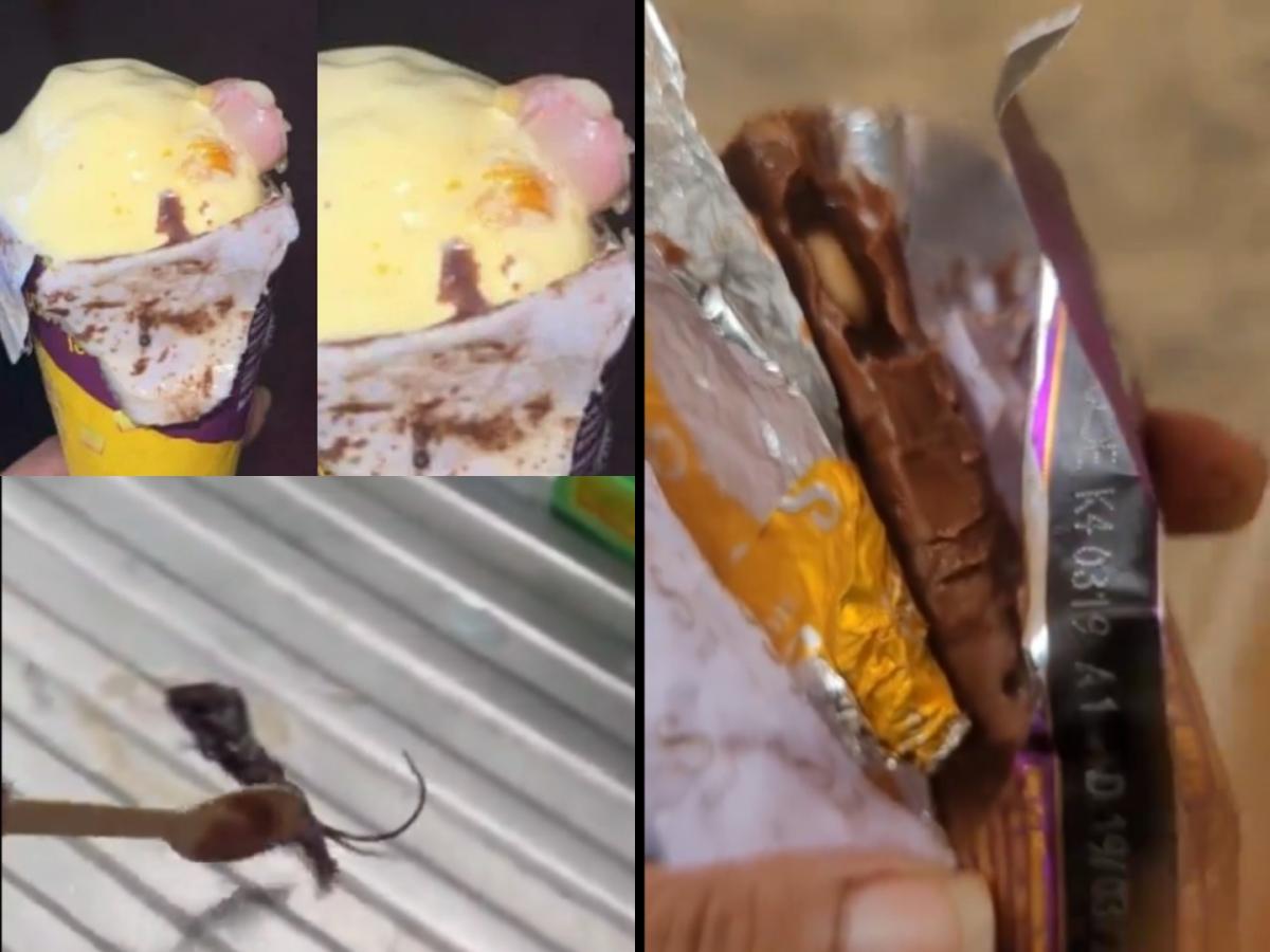  Food Safety Issues- Fried Frog, Blade, Finger And Other Weird Things Found In Food Items