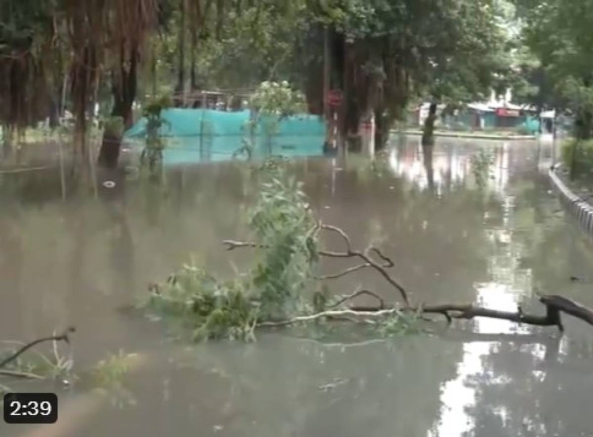 Gujarat Floods: 3 Dead, Over 20,000 Rescued as Heavy Rainfall Wreaks ...