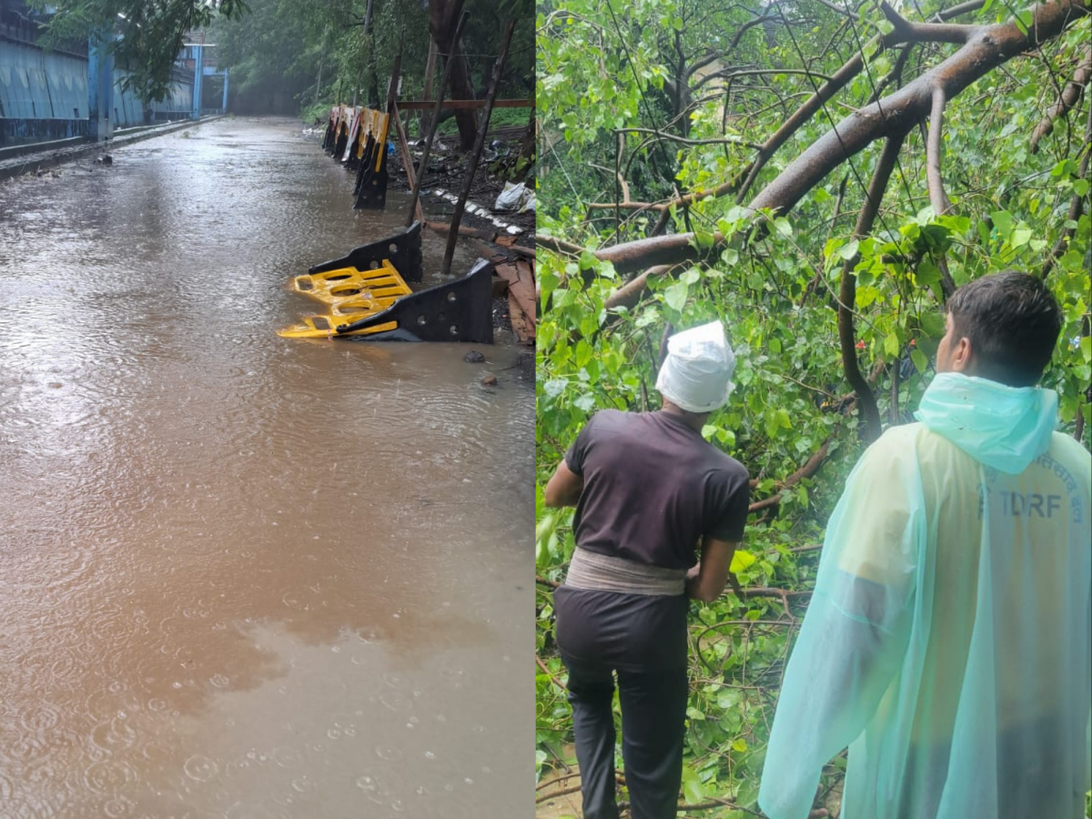 Thane Rains: Heavy Downpour Causes Severe Waterlogging in City, Trees  Uprooted, Schools Shut (Watch Video) - www.lokmattimes.com