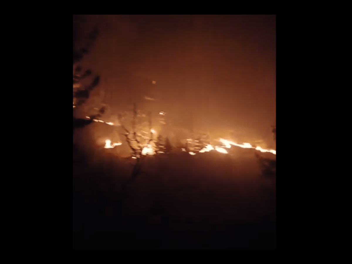 Homopal Fire Himachal Pradesh Forest Fire: Property Worth Crores Lost as Massive ...