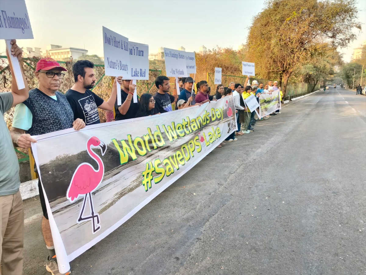 Navi Mumbai: Silent Human Chain Formed to Save DPS Flamingo Lake on ...