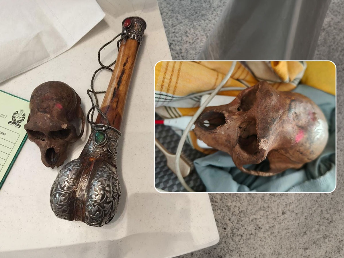 Monkey Skull Found in Baggage at Delhi Airport