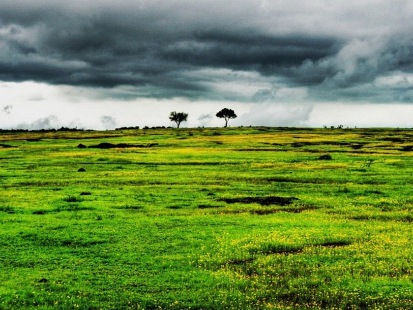 Maharashtra Monsoon Forecast Skymet Predicts Relief From Drought With Arrival Of La Nina