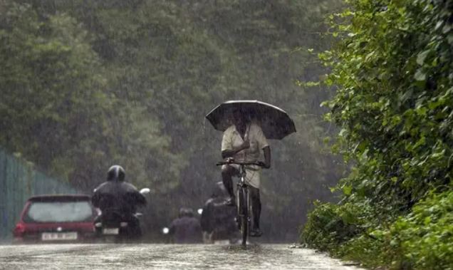 Puducherry Schools And Colleges Closed Due To Cyclone Fengal's Heavy ...