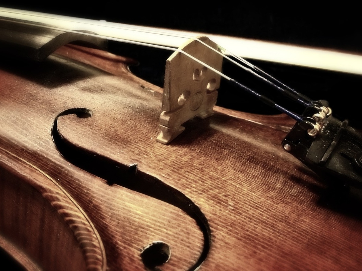 Miraj String Instruments Receive GI Tags, Boosting Sangli's Musical ...