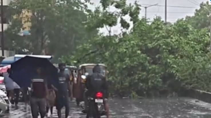 Virar Paralysed By Torrential Rains, Rail Disruptions And Blackouts Leave Thousands Stranded